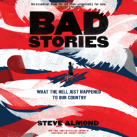 Steve Almond - Bad Stories: What the Hell Just Happened to Our Country (Unabridged) artwork