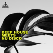 Deep House Meets Nu Disco artwork