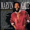 Every Great Motown Hit of Marvin Gaye, 1983