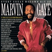 Marvin Gaye - Distant Lover