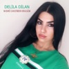 Delila Dilan - Can Evinden Vuracağım