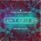 Can't Hold On (feat. Erik Hecht) - Those Usual Suspects lyrics