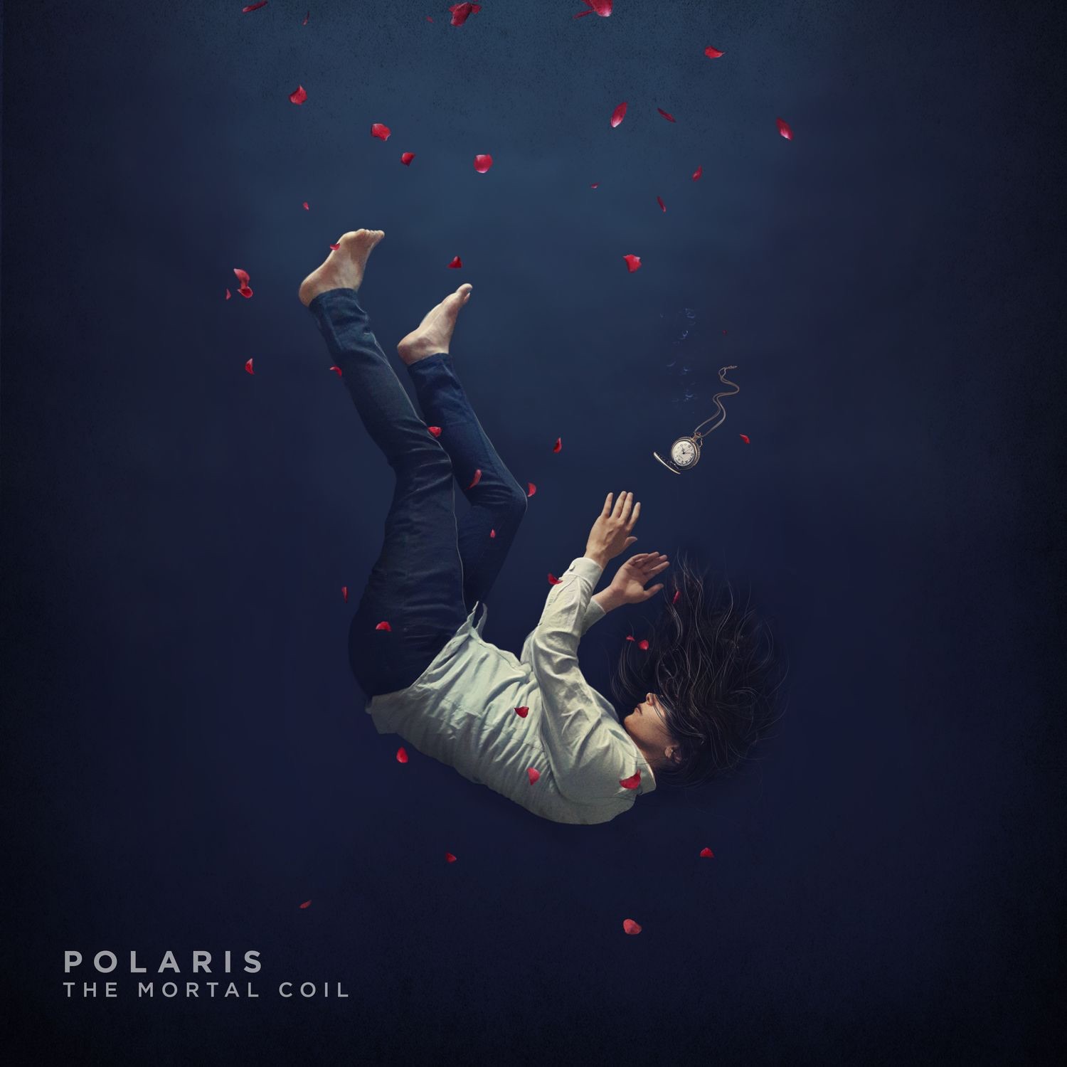 Polaris - The Remedy [single] (2017)