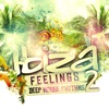 Ibiza Feelings Vol.2 - Deep House Rhythms