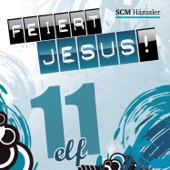 Feiert Jesus! 11 artwork