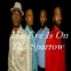 His Eye Is on the Sparrow - Single
