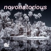 Novonatorious artwork