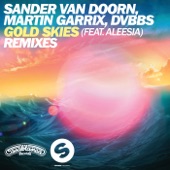 Gold Skies (Remixes) [feat. Aleesia] - EP artwork