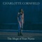 Andrew - Charlotte Cornfield lyrics