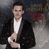 David Lindgren - Christmas Everyday