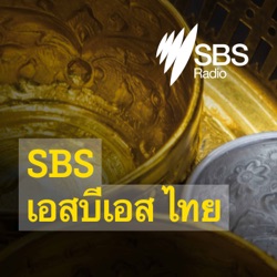 สรุปข่าวรอบวัน 13 สิงหาคม 2567