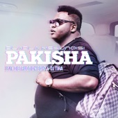 Pakisha (feat. Distruction Boyz & DJ Tira) artwork