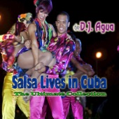 Reggaeton Con Salsa artwork