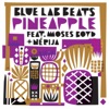 Pineapple (feat. Moses Boyd & Nérija) - Single, 2017