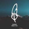 Need You - Single