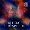 Introspection - Single