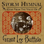 Grant Lee Buffalo - Fuzzy