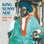 King Sunny Ade - Easy Motion Tourist