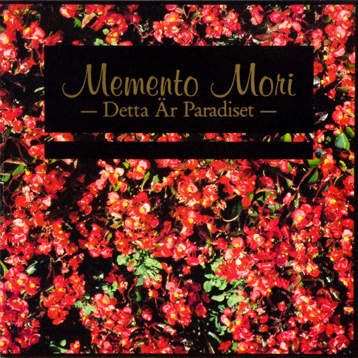 Apple Music 上memento Mori的专辑 Detta Ar Paradiset