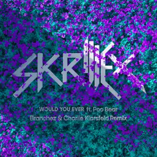 baixar álbum Skrillex & Poo Bear - Would You Ever Branchez Charlie Klarsfeld Remix