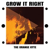 The Orange Kyte - Elasticity