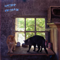 Catbug - Universe artwork