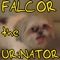 Falcor the Urinator - Toby Turner & Tobuscus lyrics