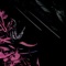 Bellyache - Dan Easley lyrics