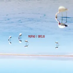 Brejo - Mopho