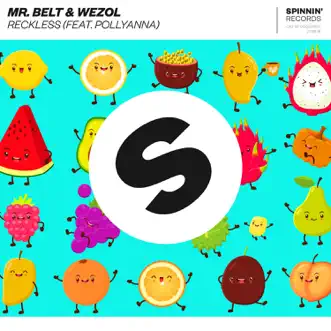 Reckless (feat. PollyAnna) by Mr Belt & Wezol song reviws