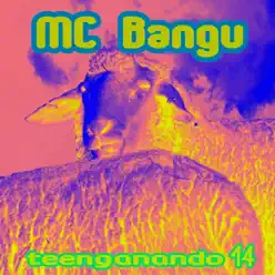 Teenganando 14 - EP - MC Bangu Teenganando 14 - EP - MC Bangu
