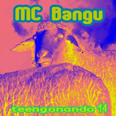 Teenganando 14 - EP - MC Bangu