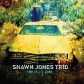 Shawn Jones Trio - One to Blame