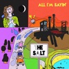 The Salt - Technical Difficulties