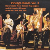 Virunga Roots, Vol. 2 artwork