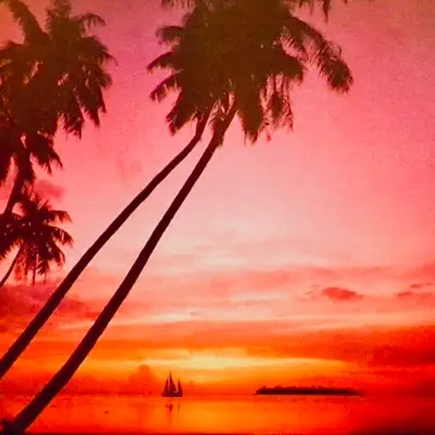 The Exotic Sounds of Martin Denny - Martin Denny