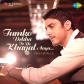 Tumko Dekha To Ye Khayal Aaya artwork