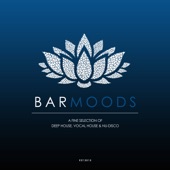 Bar Moods (A Fine Selection of Bar Sounds from Deep House to Vocal House & Nu-Disco) artwork