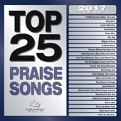 Top 25 Praise Songs (2017 Edition) artwork