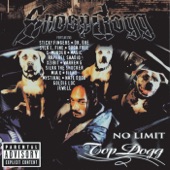 No Limit Top Dogg artwork