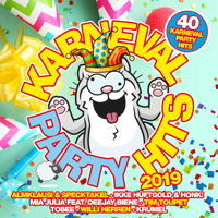 Various Artists - Karneval Party Hits 2019 artwork