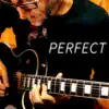 Perfect (Guitar Version) - Single album lyrics, reviews, download