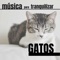 Le Gusta Jugar - Gatos Especialistas lyrics