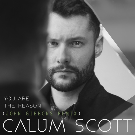Cover artwork for You Are the Reason