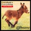 Everybody's Everything artwork