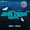 Stream & download John Crow Riddim - EP