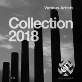 Collection 2018 artwork
