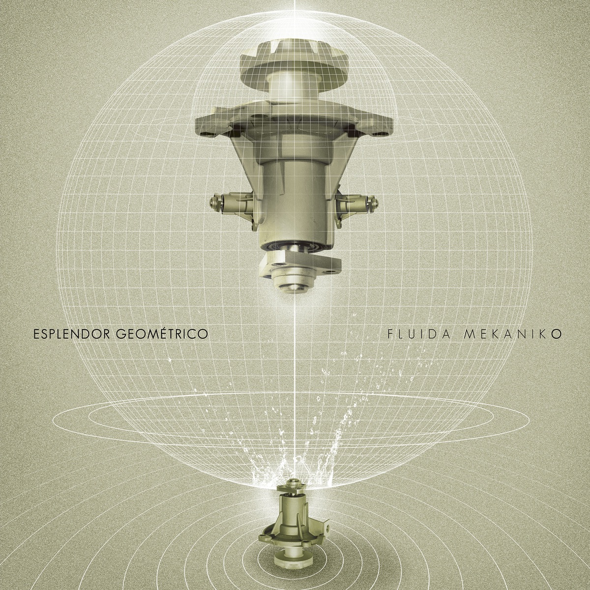 ESPLENDOR GEOMETRICO 『DESARROLLOS GEOM…』 ESPLENDOR GEOMETRICO『DESARROLLOS GEOME…』