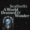 A World Drained of Wonder - Seatbelts lyrics