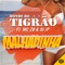 Malhadinha (feat. DJ JP & MC 2B) - Bonde do Tigrão lyrics